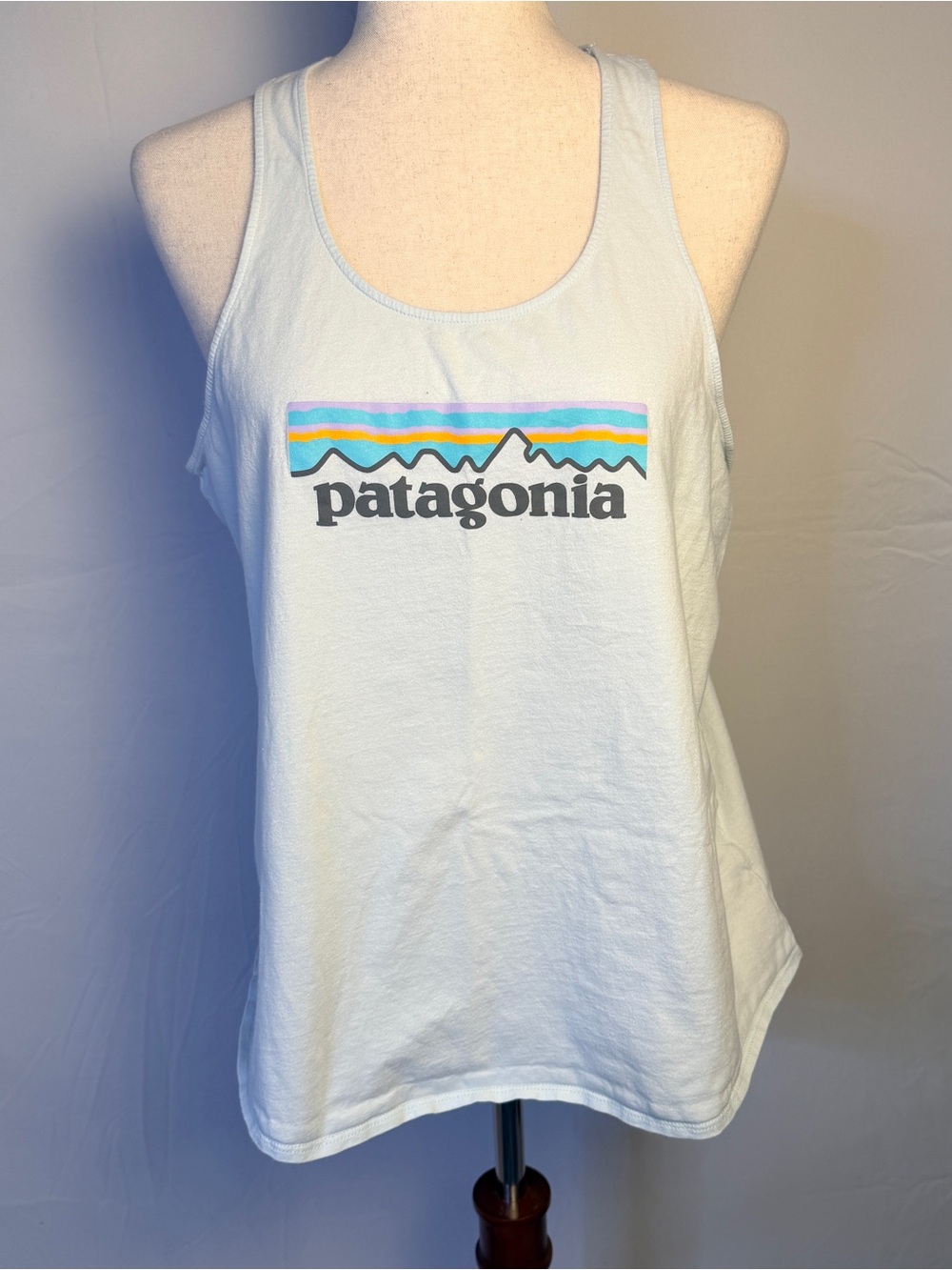 Patagonia‎ Light Blue Tank with Multicolor Stripe, causal outdoors hiking